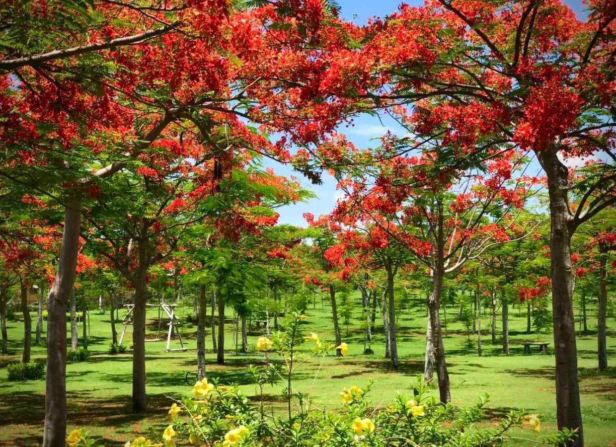 Ninh Hoa Ttc Resort - Doc Let מראה חיצוני תמונה