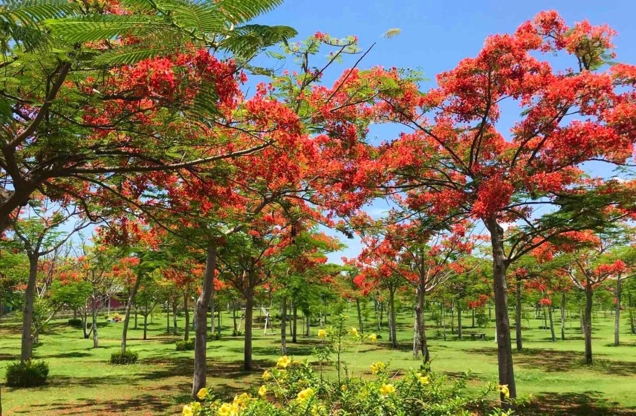 Ninh Hoa Ttc Resort - Doc Let מראה חיצוני תמונה